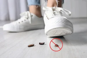 Comment protéger son jardin des insectes nuisibles
