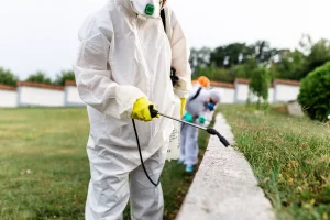 Comment protéger les zones sensibles des écoles contre les insectes