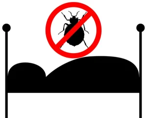 Comment prévenir une infestation d'insectes dans votre maison