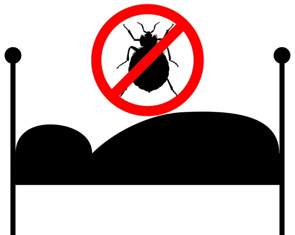 Comment prévenir une infestation d'insectes dans votre maison