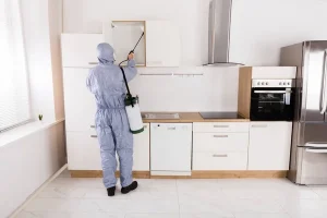 Désinsectisation comment sécuriser son garage contre les insectes