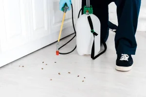 Comment protéger les commerces alimentaires des invasions d'insectes