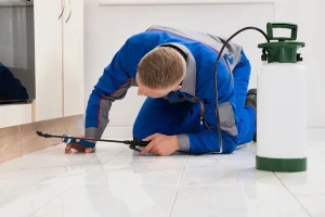 traitement mites vestimentaires