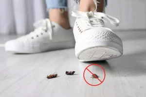 Comment protéger son entrepôt des invasions d'insectes