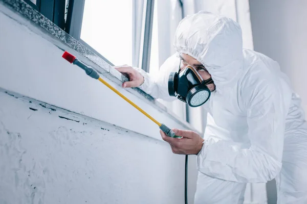 Désinsectisation préventive comment protéger votre maison des nuisibles