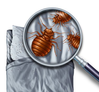 comment se débarrasser des mites alimentaires