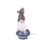 extermination nid de guepe