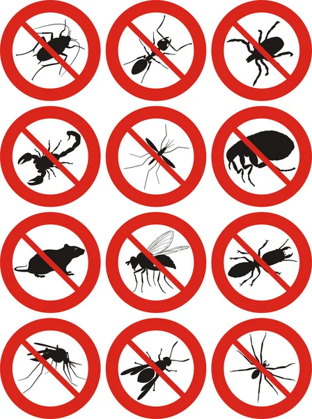Crottes de rat : comment les identifier et que faire en cas d’infestation ?