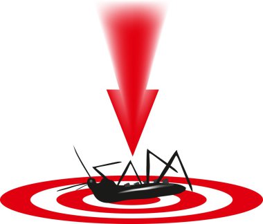 insecte du bois vrillette