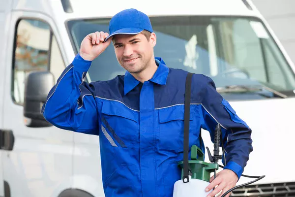 controle termites